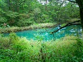 Fukushima